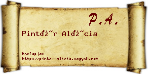 Pintér Alícia névjegykártya